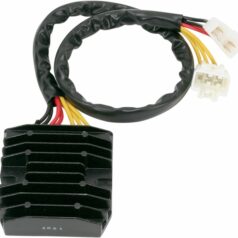 RECTIFIER-REGULATOR HOT SHOT