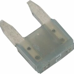 REPLACEMENT MINI FUSE 2A 5 PK