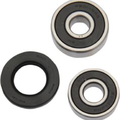 WHEEL BEARING KIT OEM REPLACEMENT REAR
