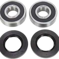 WHEEL & SEAL KIT SB OEM REPLACEMENT REAR NATURAL