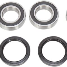 WHEEL BEARING KIT OEM REPLACEMENT FRONT NATURAL