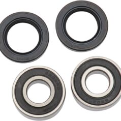 WHEEL BEARING KIT OEM REPLACEMENT FRONT NATURAL