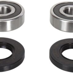 WHEEL BEARING KIT OEM REPLACEMENT REAR NATURAL
