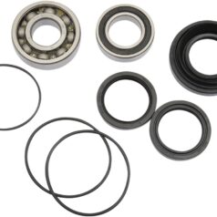 WHEEL BEARING KIT OEM REPLACEMENT REAR NATURAL