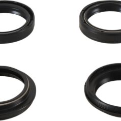 FORK SEAL KT Z044