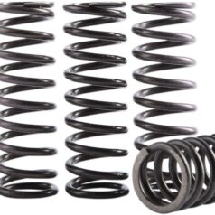 SPRING KIT CLUTCH HONDA