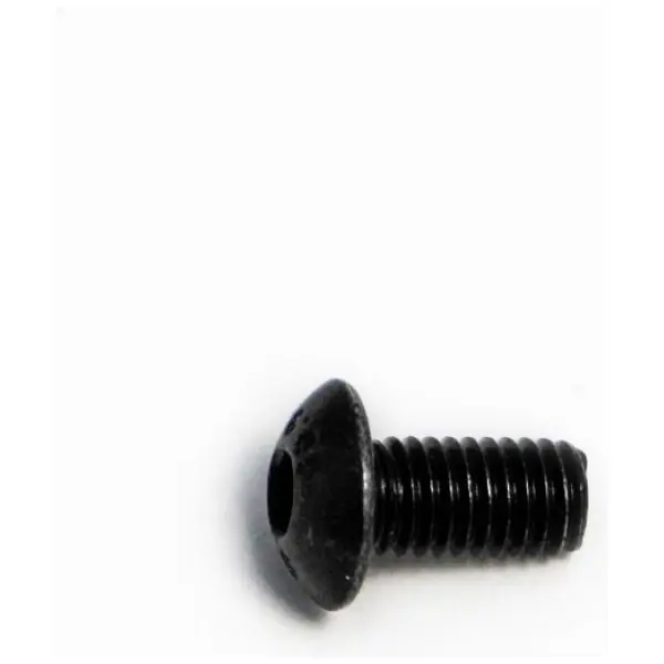 BOLT MOUNTING SCREW