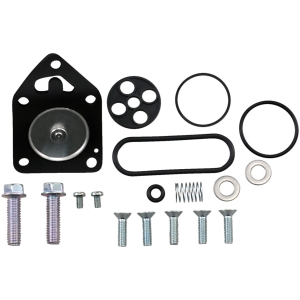 FUEL PETCOCK REPR KIT KAW