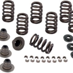 SPRING KIT VALVE HEAVY DUTY M8 ENGINES