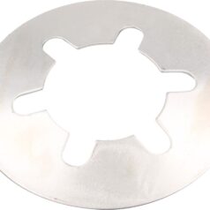 DIAPHRAGM SPRG PLT