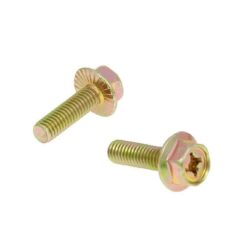 EXHAUST SCREWS