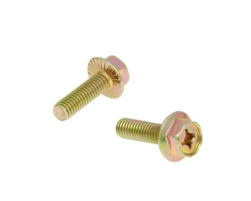 EXHAUST SCREWS