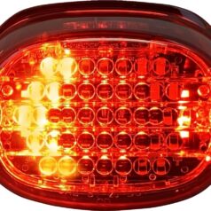 TAILLIGHT W/TSIG R LENS