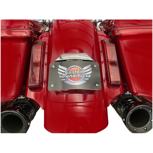 MOUNT LICENSE PLATE CVO C - Bild 2