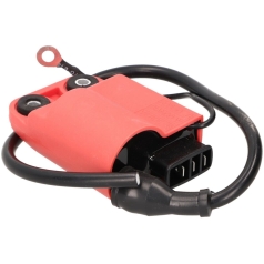 CDI UNIT W/ IGNITION COIL