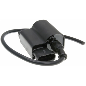 CDI UNIT W/ IGNITION COIL