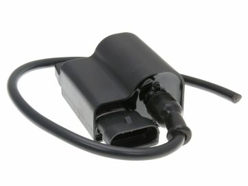 CDI UNIT W/ IGNITION COIL