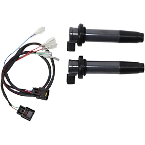 COIL ON PLUG KIT KRX1000
