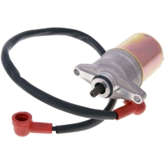ELECTRIC STARTER MOTOR