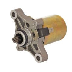 ELECTRIC STARTER MOTOR