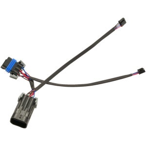 ADAPTER WIRING CIRO LIGHTING INDIAN