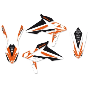 GRAPHIC KIT WITH SEAT COVER RR 13-17