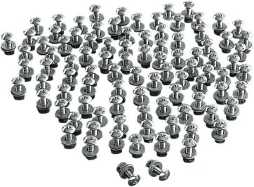 LICENSE PLATE BOLTS-100P