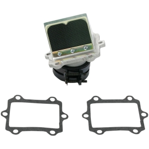 RAD VALVE CARBON FIBER