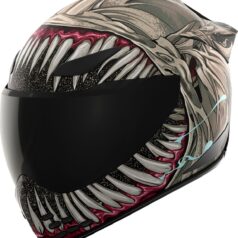 HELMET DOMN GRAND MAW RD LG