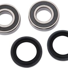 BEARING FRT WHL H13-000