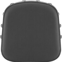 PAD SISSYBAR RENEGADE
