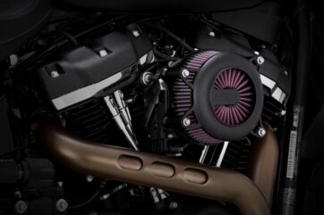 AIR CLEANER RG BL L-ST,FL
