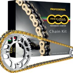 137 ZRE 110 RIVET LINK 525 O-RING CHAIN KIT / 15 TEETH FRONT & 41 TEETH REAR / GOLD / STEEL