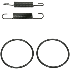 SPRING/O-RING KIT KAWASAKI