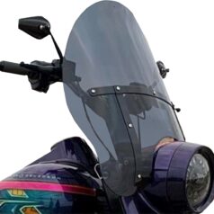 WINDSHIELD B-BRD 20" DS