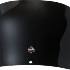 WINDSHIELD FXRT SPRT BK