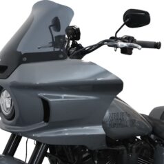 WINDSHIELD FXLRST 10" DS