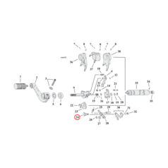 Screw, detent arm transmission - 91-03 5-växlad XL Sportster