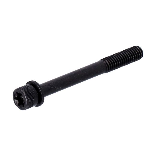 Lock bolt, pivot shaft - 18-24 Softail