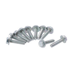 Bolt, support assembly shifter cam - 00-06 5-växlad Softail; 01-06-5-växlad FLT/Touring; 01-05 5-växlad Dyna