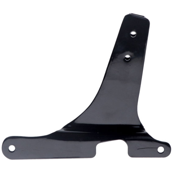 Sissybar side plates rigid mount - 94-03 XL Sportster - Bild 2