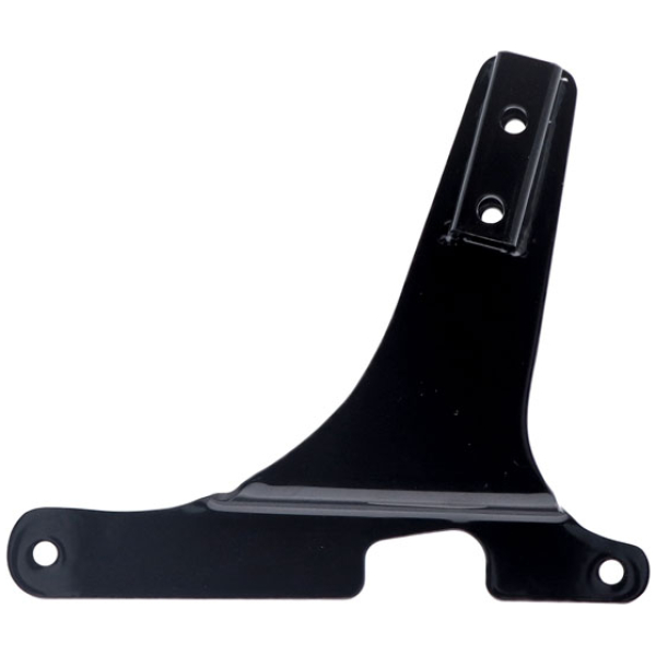 Sissybar side plates rigid mount - 94-03 XL Sportster - Bild 4