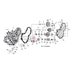Seal ring, pinion shaft - 40-53 Big Twin