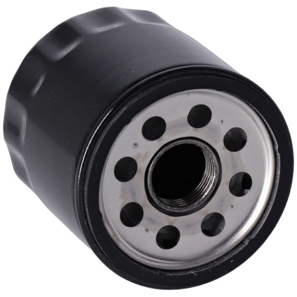 Oil filter, black - 21-22 RH1250S Sportster S; 21-22 RA1250 Pan America; 21-22 RA1250S Pan America Special - Bild 2