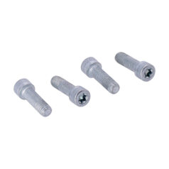 Screw, transmission mount bracket - 00-13 Softail  : transm. monteringsfäste. 
07-11 FLSTF, FLSTN; 09-11 FLSTB Softail  : Bult, bottenhål transm. lagerhus.