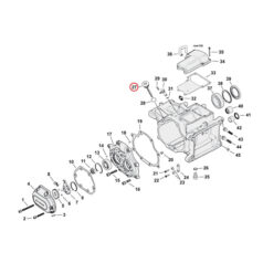 Transmission fill plug. round head - 07-24 Softail; 06-17  Dyna; 07-24 FLT/Touring