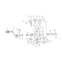 Spring, detent arm transmission - 91-03 5-växlad XL Sportster