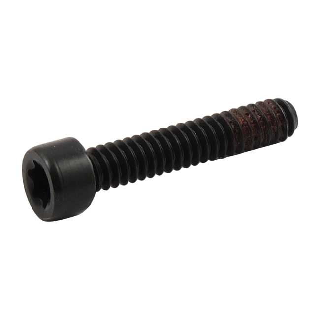 Bolt, alternator stator mount - 89-99 Evo Big Twin; 00-06 Softail Twin Cam; 99-06 Dyna Twin Cam; 91-01 XL Sportster