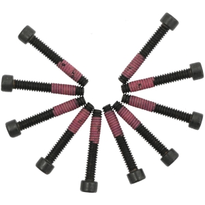 10-24 x 1 1/4" Torx Stator Mounting Screws Pack of 10 - 95-05 Touring