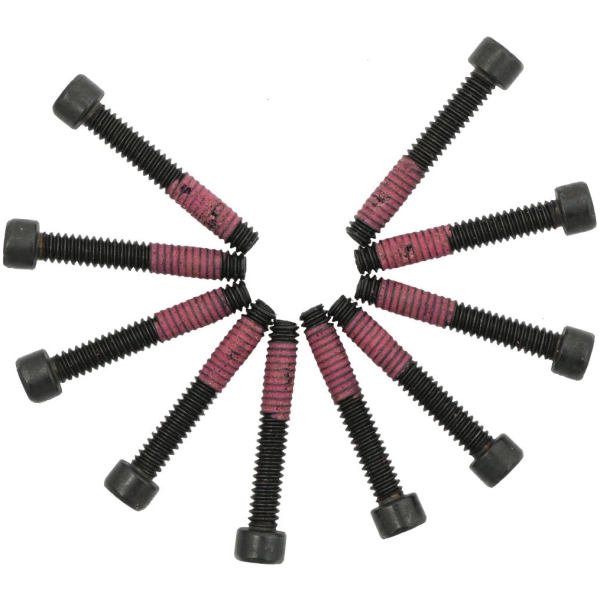 10-24 x 1 1/4" Torx Stator Mounting Screws Pack of 10 - 95-05 Touring